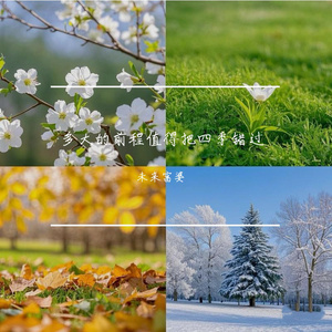 双男主电视剧腐剧
