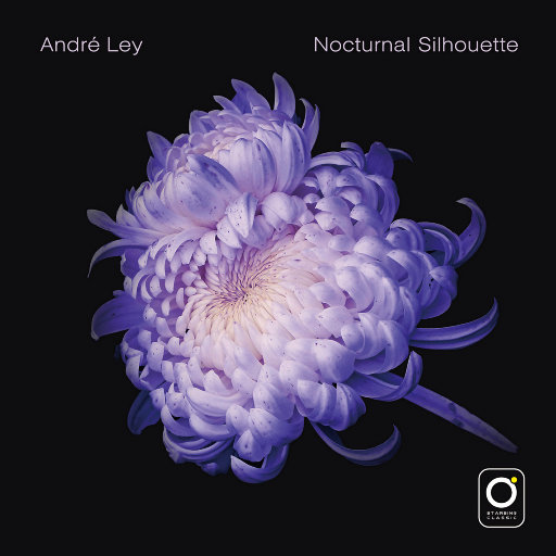 双男主电视剧腐剧
